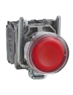 ILLUMINATED PUSHBUTTON